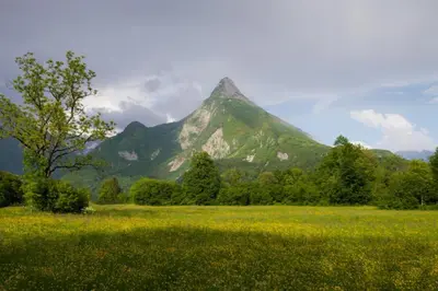 a mountain in the distance with a field of flowers at Lepa Soca House in Čezsoča