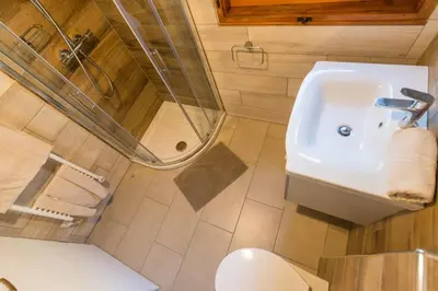 a bathroom with a sink and a shower and a toilet at Mostnica Cottage in Bohinj