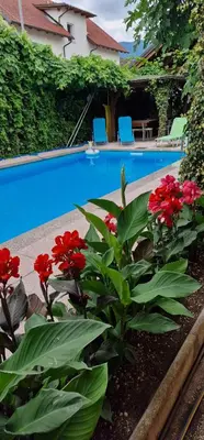 a swimming pool with red flowers in front of it at APARTMAN MURKO S-1 in Brest