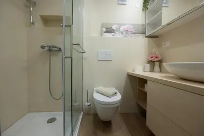 a bathroom with a shower and a toilet and a sink at Relax Studio Kranjska Gora in Kranjska Gora