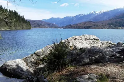 a large rock on the shore of a body of water at Villa Frida in Bohinj