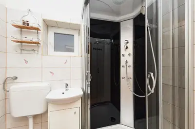 a bathroom with a shower and a toilet and a sink at Apartma Humar in Kobarid