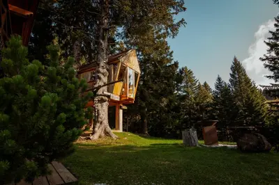 a tree house in the middle of a yard at Tree House Alpinka Krvavec in Cerklje na Gorenjskem