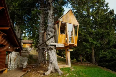 a tree house built on a tree trunk at Tree House Alpinka Krvavec in Cerklje na Gorenjskem