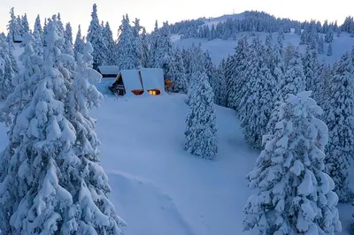 an aerial view of a snow covered forest with trees at Tree House Alpinka Krvavec in Cerklje na Gorenjskem
