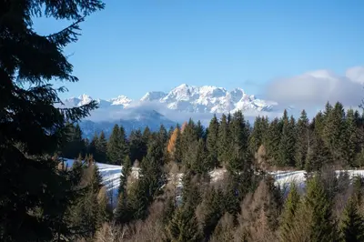 a view of a mountain range with trees and snow at Alpine Cottage Golica in Jesenice