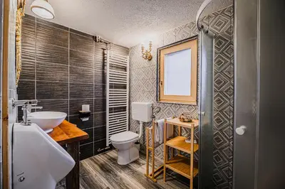 a bathroom with a toilet and a sink at Traditional Slovenian House Pr'Belej in Zgornje Gorje