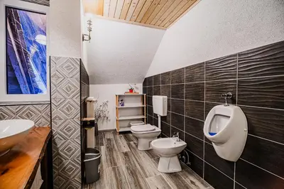 a bathroom with two toilets and a urinal and a sink at Traditional Slovenian House Pr'Belej in Zgornje Gorje