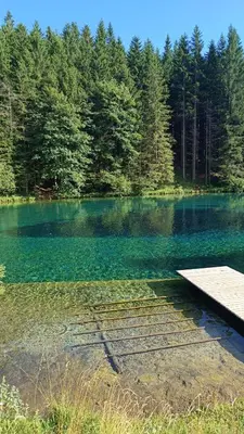 a lake with a dock in front of a forest at Hiša Pr Valter in Jesenice