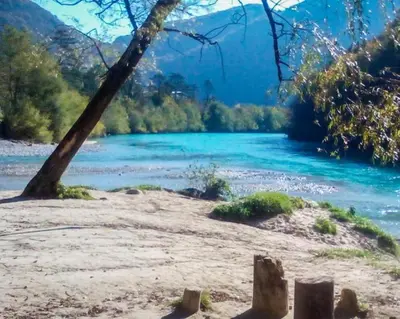 a view of a river with a tree in the foreground at Apartma Gorjan in Tolmin