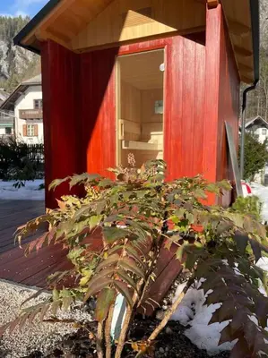 a house with a plant in front of it at Alpine Wooden Villa with a View in Gozd Martuljek
