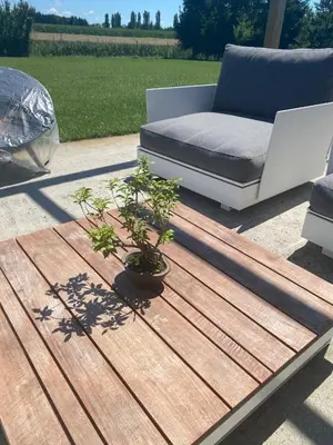 a wooden table with a couch and potted plants on it at Residence in Moravske Toplice