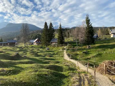 a grassy field with trees and houses in the background at Lovely Cottage in a mountain wilderness of the National Park in Srednja Vas v Bohinju