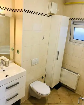 a bathroom with a toilet and a sink at Jenny Apartment with Jacuzzi in Brezovica