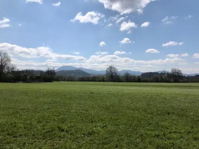 a large green field with mountains in the background at Jenny Apartment with Jacuzzi in Brezovica