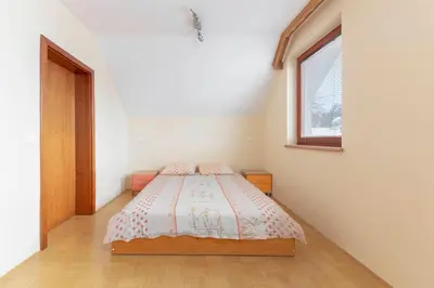 a bedroom with a bed in a room with a window at Apartma Ana in Preserje