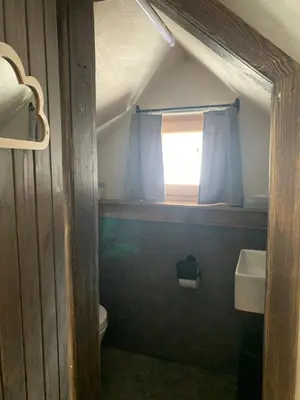 a small bathroom with a toilet and a window at Hiša Pod gorami II****-house with wellness in Kranjska Gora
