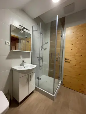 a bathroom with a glass shower and a sink at Apartma LD Puščava in Lovrenc na Pohorju