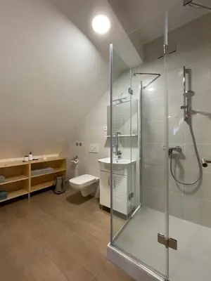 a bathroom with a shower and a sink and a toilet at Apartma LD Puščava in Lovrenc na Pohorju