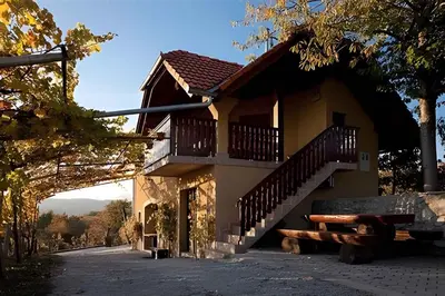 a house with a staircase in front of it at Holiday home in Metlika Kranjska Krain 26051 in Metlika