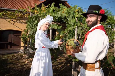 a man and a woman standing in front of a vineyard at Holiday home in Metlika Kranjska Krain 26051 in Metlika