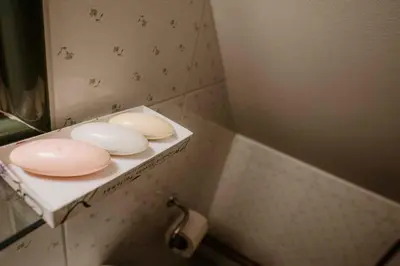 a bathroom with two pink toilets on a counter at Holiday home in Smarje pri Jelsah Stajerska Untersteiermark 26087 in Šmarje pri Jelšah