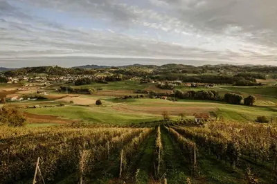 a view of a farm with fields and trees at Holiday home in Smarje pri Jelsah Stajerska Untersteiermark 26087 in Šmarje pri Jelšah