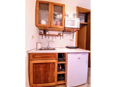 a small kitchen with a sink and a microwave at Apartma Stanka in Bistrica ob Sotli