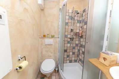 a small bathroom with a toilet and a shower at Apartma Brlog Petra, Kranjska Gora in Kranjska Gora