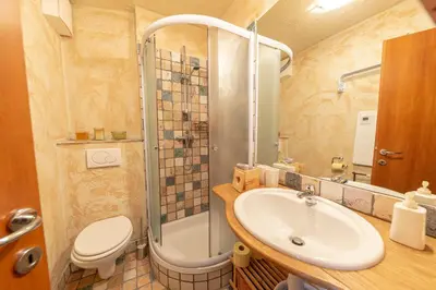 a bathroom with a sink and a shower and a toilet at Apartma Brlog Petra, Kranjska Gora in Kranjska Gora