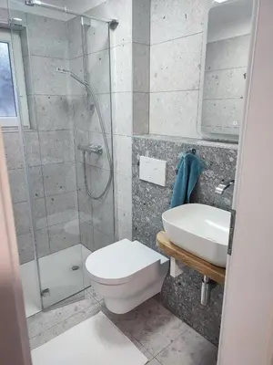 a bathroom with a shower and a toilet and a sink at Tilka`s house in Blejska Dobrava