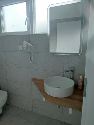 a bathroom with a sink and a mirror and a toilet at Tilka`s house in Blejska Dobrava