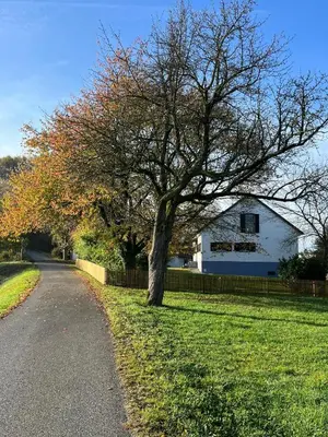 a tree in the grass next to a road at Maribor Luxury Country House Volicina 5* in Spodnja Voličina