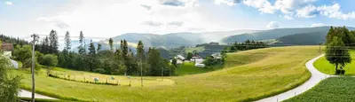 a winding road in a green field with mountains in the background at Apartma Tia 2 in Zreče