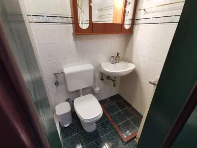 a small bathroom with a toilet and a sink at Cosy Forest in Kranjska Gora