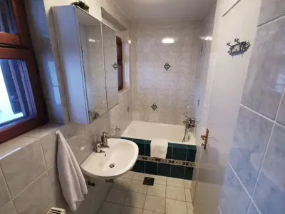 a bathroom with a sink and a bath tub at Cosy Forest in Kranjska Gora