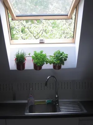 three potted plants on a window sill above a sink at Entire apartment in the center with free parking in Ljubljana