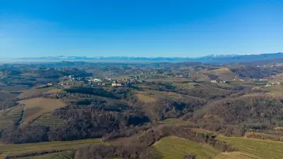an aerial view of the rolling hills and farms at Apartma Tri oljke in Dobrovo