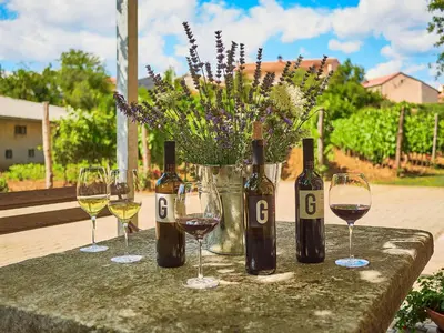a table with wine glasses and a vase of flowers at G House in Dutovlje