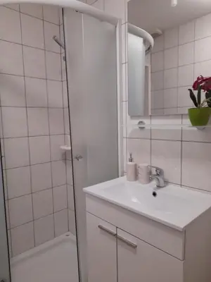 a white bathroom with a sink and a shower at Apartma Lena in Kranjska Gora