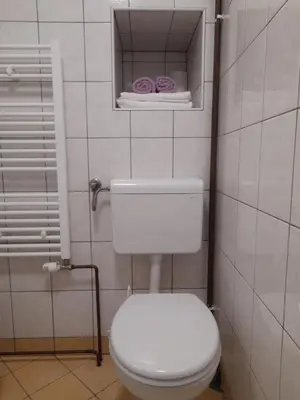 a bathroom with a white toilet and some towels at Apartma Lena in Kranjska Gora