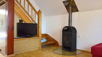 a living room with a wood stove and a tv at Holiday home in Otocec Kranjska Krain 26062 in Otočec
