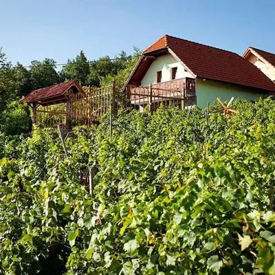 Holiday home in Otocec Kranjska Krain 26062