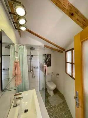 a bathroom with a shower and a sink and a toilet at Mini Loft close to Logar Valley in Rečica ob Savinji