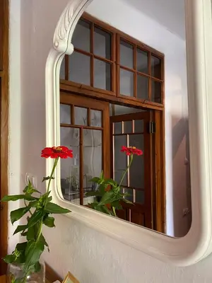 a mirror with a window and red flowers in a vase at HIŠA VELIKANKA_Giantess in Kostel