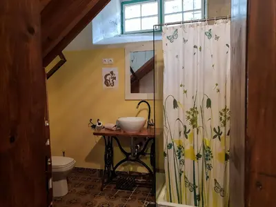a bathroom with a shower with a sink and a toilet at HIŠA VELIKANKA_Giantess in Kostel