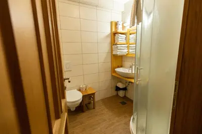 a small bathroom with a toilet and a sink at Pr'Finzgar in Brezje