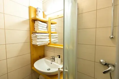 a bathroom with a sink and a mirror and towels at Pr'Finzgar in Brezje