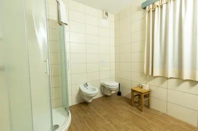 a bathroom with a toilet and a shower at Pr'Finzgar in Brezje