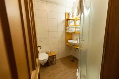 a small bathroom with a toilet and a sink at Pr'Finzgar in Brezje